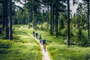 mhw beratung mtb trails fahren 300x200 - Wie finde ich die optimale Sitzposition beim Mountainbike?