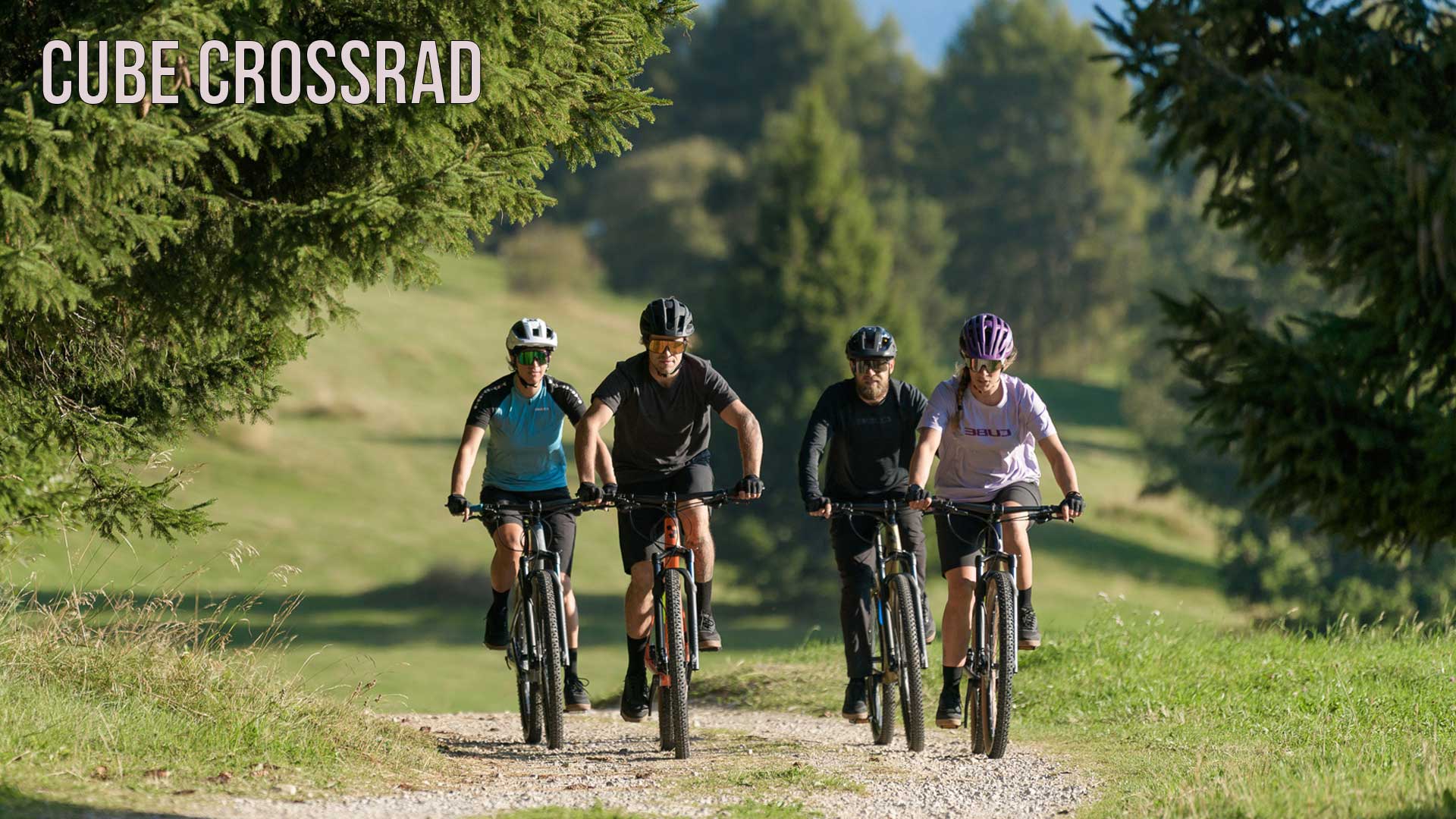 Cube Crossrad Kategorie