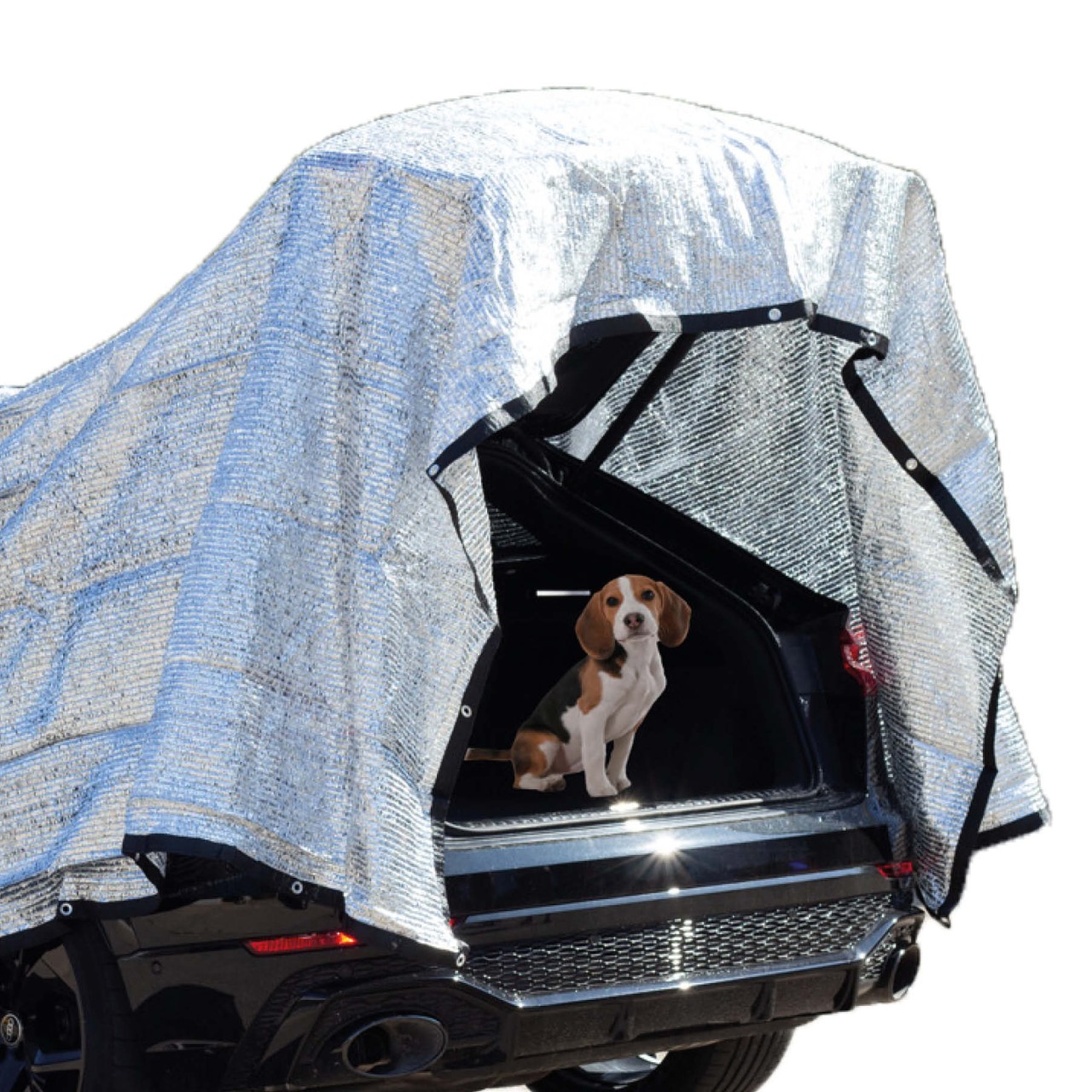 RAVE Aluminium Schattennetz Sonnenschutz Sonnensegel - 4x6 m